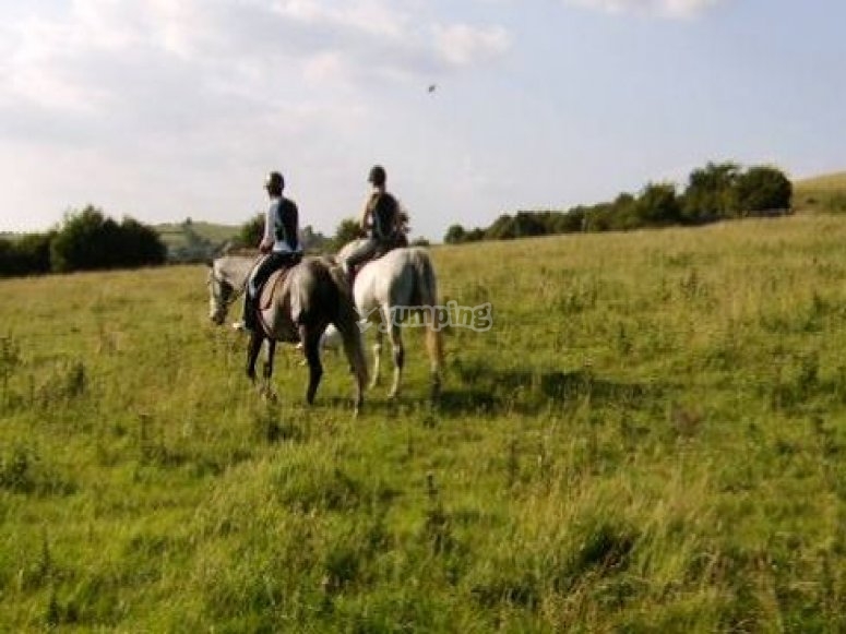 Church View Equestrian Centre, prices and bookings 2024